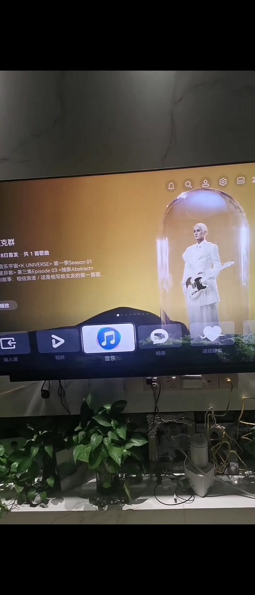 华为智慧屏为啥不支持奇异果