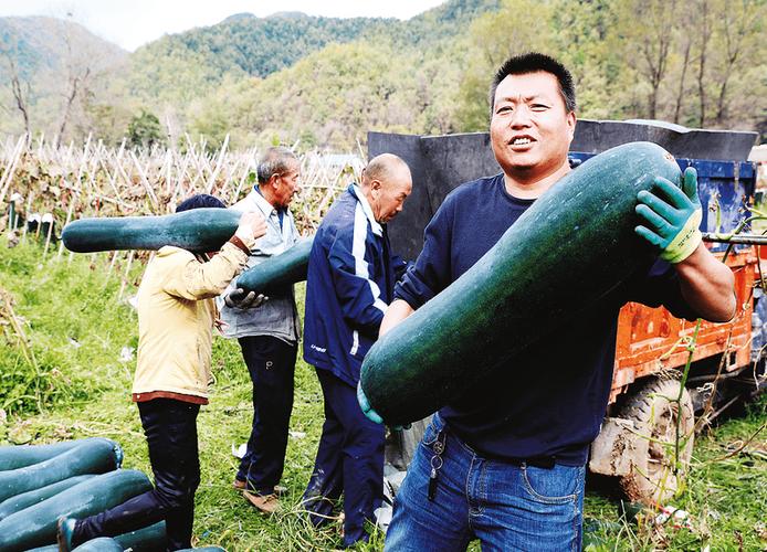 安装冬瓜视频游戏截图