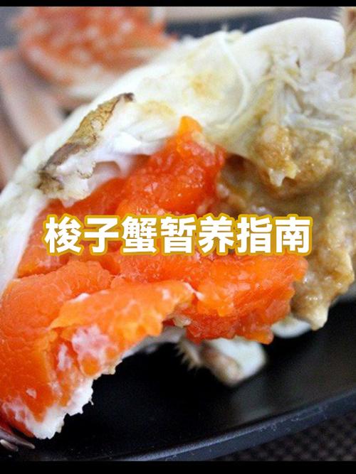 梭子蟹蒸熟了第二天可以吃吗