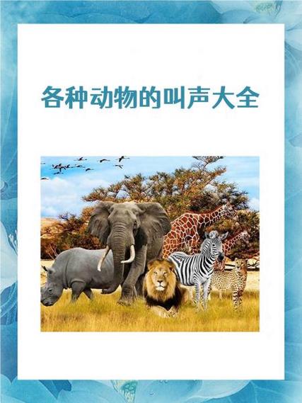 100个动物叫声大全