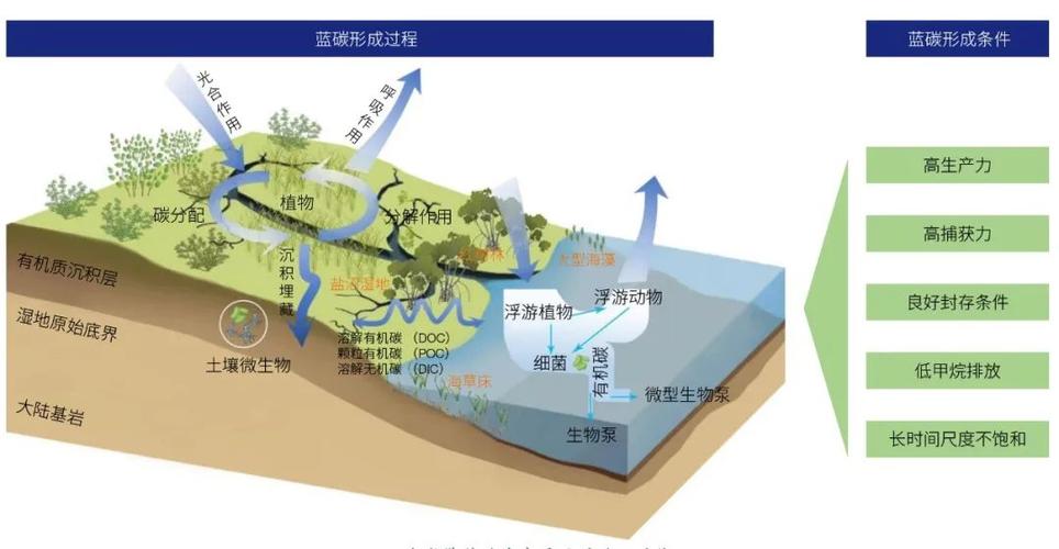 生态系统的基本功能图标