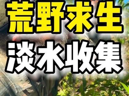 荒野求生淡水哪里采集