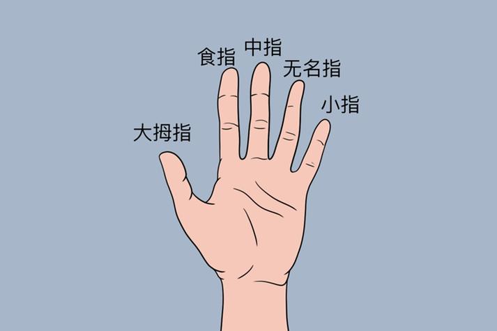 四指是哪个手指游戏截图