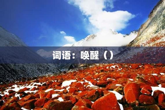 和唤醒类似的词