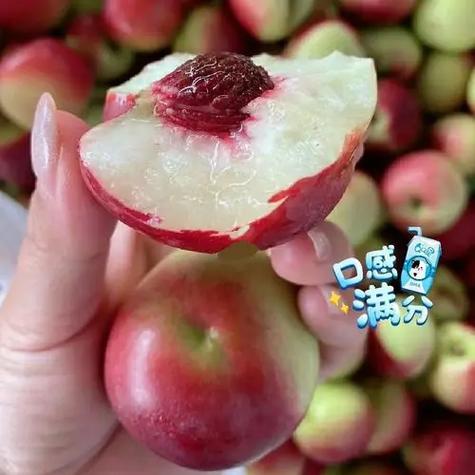 枣桃为何尽量少吃截图