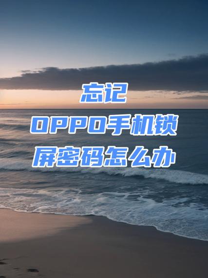 oppor9怎么刷机清除密码