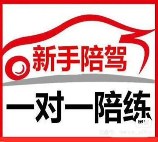 陪练车的幽默说说