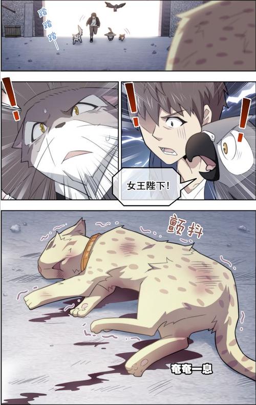 宠物天王百度百科