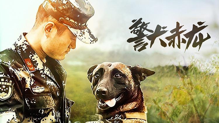警犬赤龙杀狗是第几集
