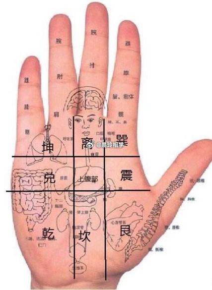 八卦手掌记忆方法