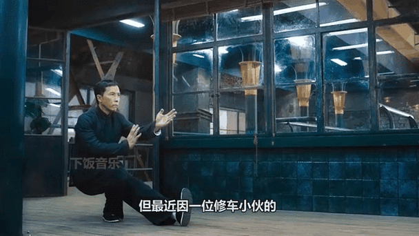 咏春挂档翻车动态表情