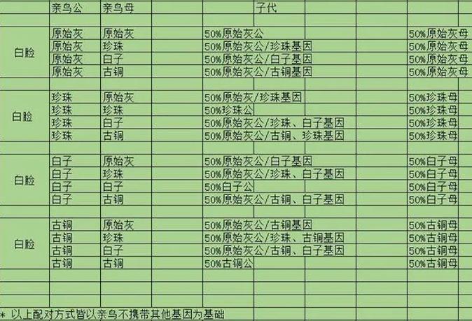 一对玄凤怎么繁殖缩略图