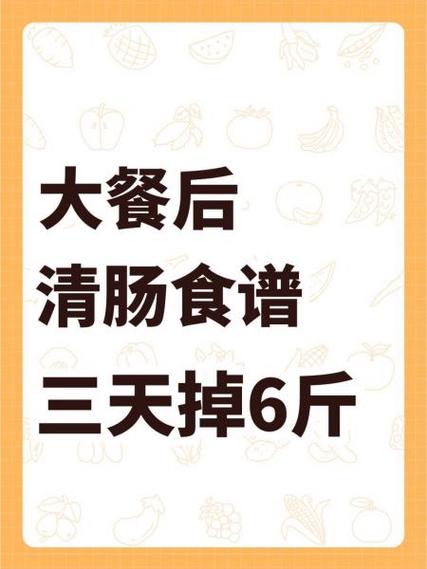 清肠道排宿便吃什么药截图