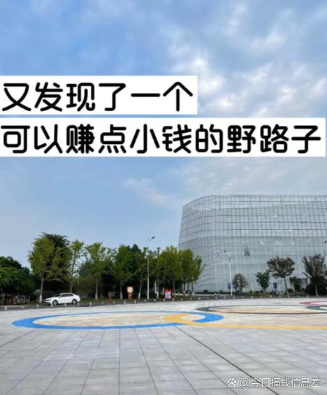 一晚上赚一万的野路子图标