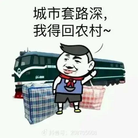 我想回农村城市套路深下一句
