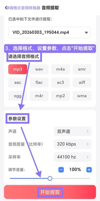 屏幕录制怎么把声音提取出来手机