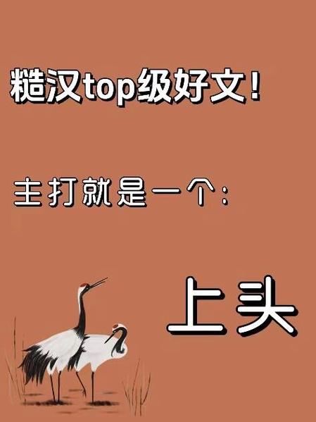 废文排行榜top推文