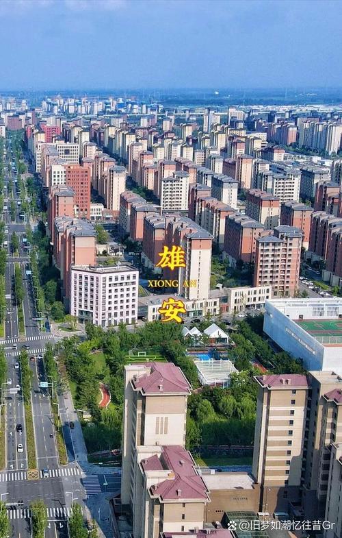 明日之后下一个新区什么时候开