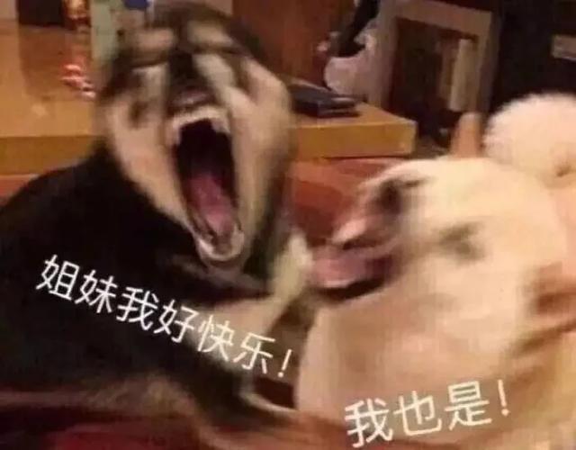 沙雕姐妹聚一窝的文案