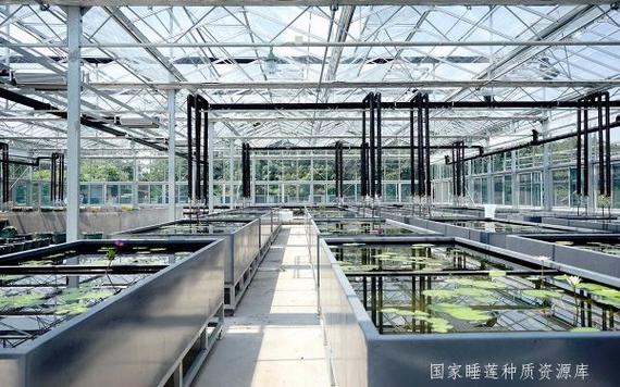 种质资源库截图