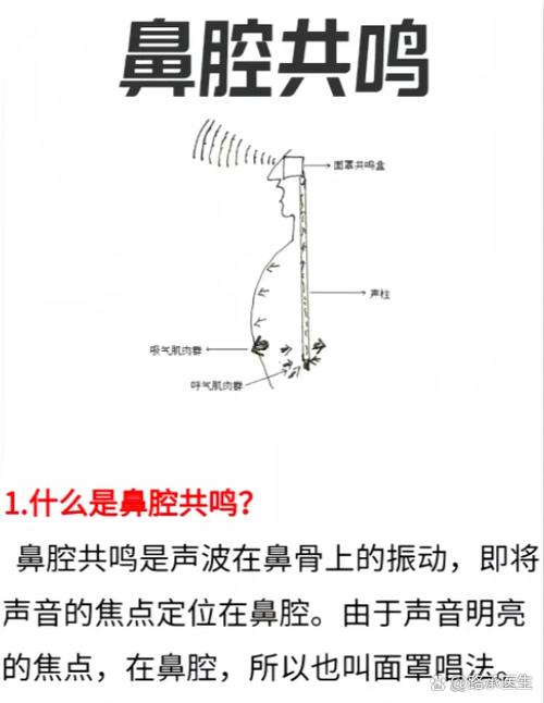 共振与共鸣的区别