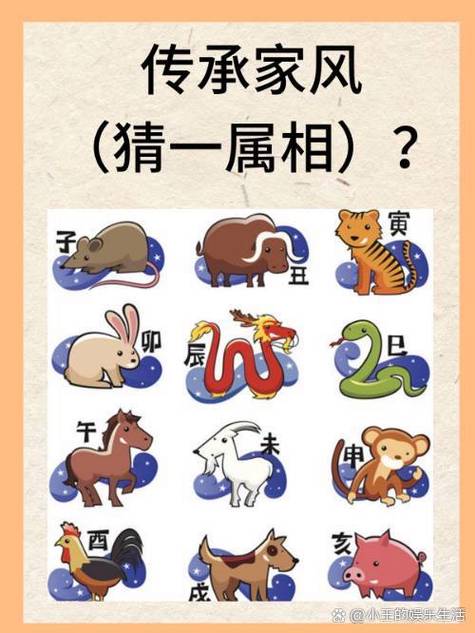 旋字代表什么生肖