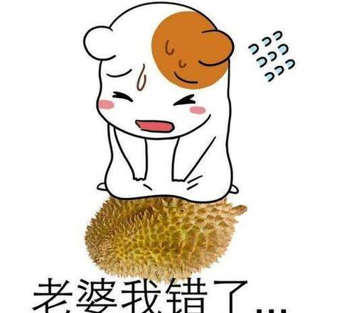 女生认错表情包