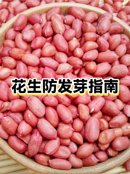 三月份卖的新花生能吃吗