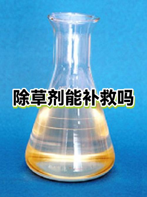 男主把女主的药给扔了