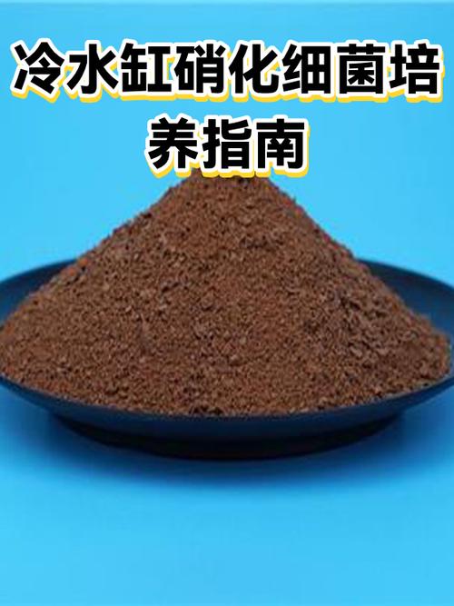 培养细菌的一般方法