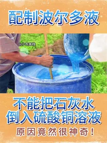 波尔多液的正确配制方法