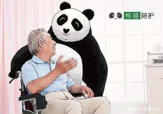 郑州熊猫陪护