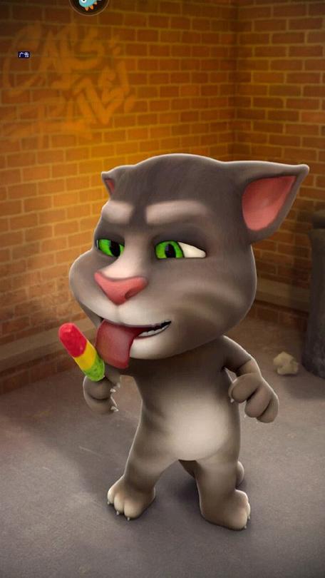 会说话的汤姆猫2010版下载