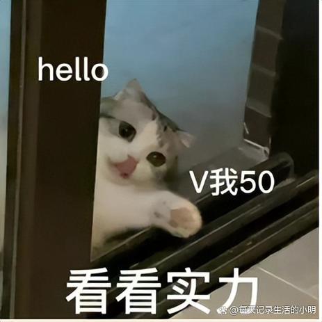 女生说v50看看实力啥意思图标