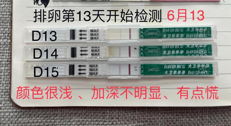 大卫早早孕测试条怎么用
