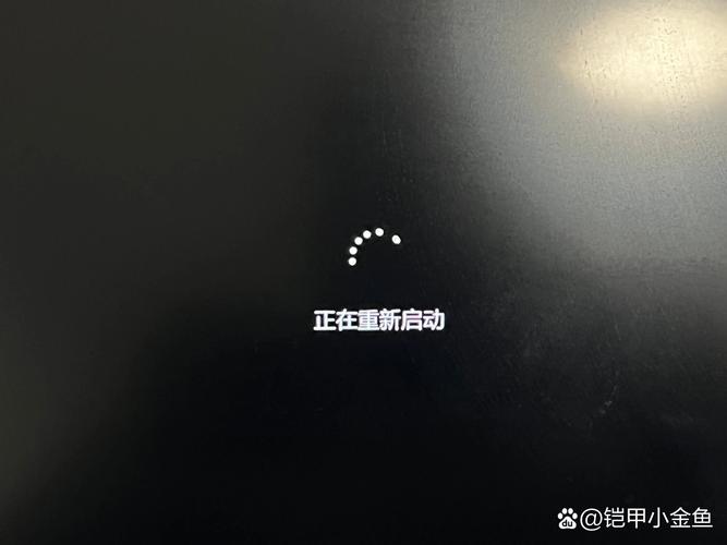 未能加载PDF文档