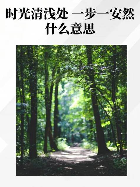 清浅时光的意思