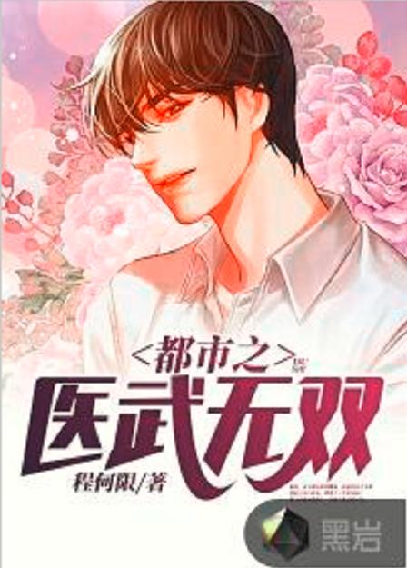 医武风流孙哲全文阅读