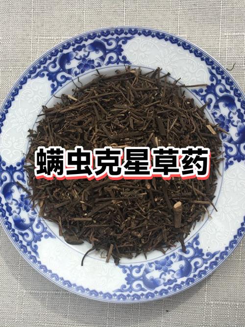 螨虫最怕的克星