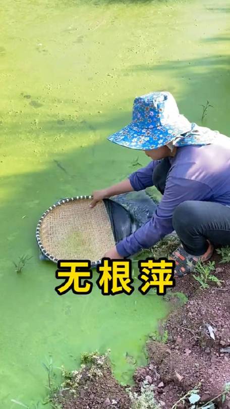 免root改比例