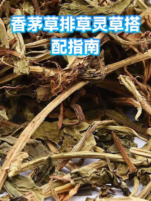 紫薇灵草采集路线图