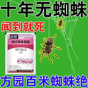 蜘蛛打什么药才能死