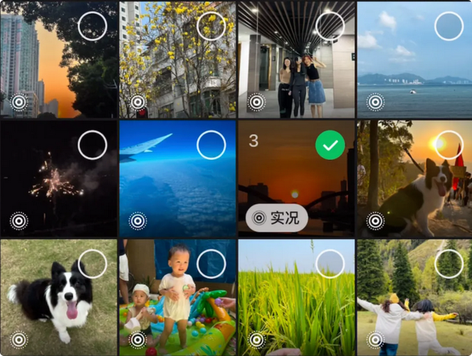 iphone实况叫live吗