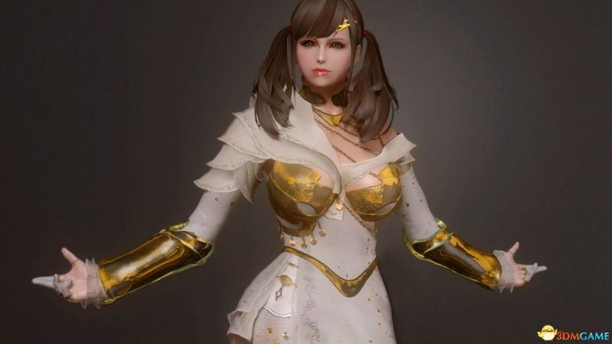 黑色沙漠服装mod