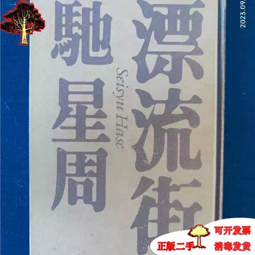 驰星周漂流街图标