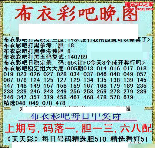 电子布衣晚报3D