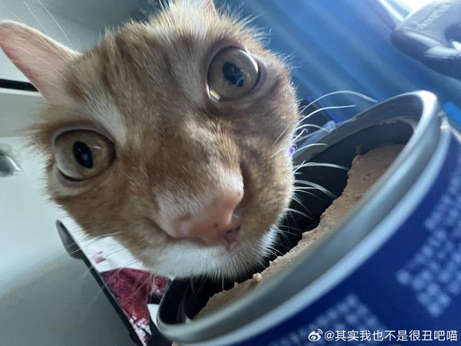 looking my eyes图标