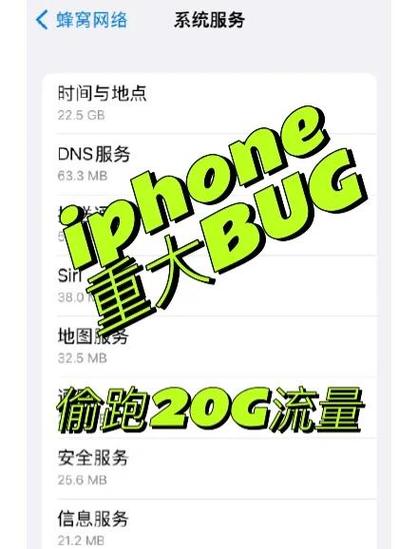 苹果流量使用明细在哪里查