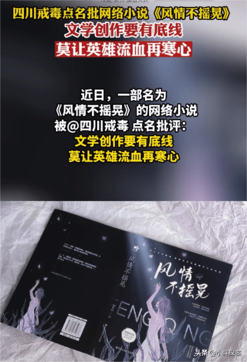 继承大毒枭巨额财产的小说