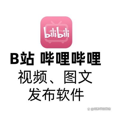 bilibili视频提取器游戏截图